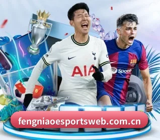 坚持做好基础的事 - 长期内容价值积累（Fengniao Esports）
